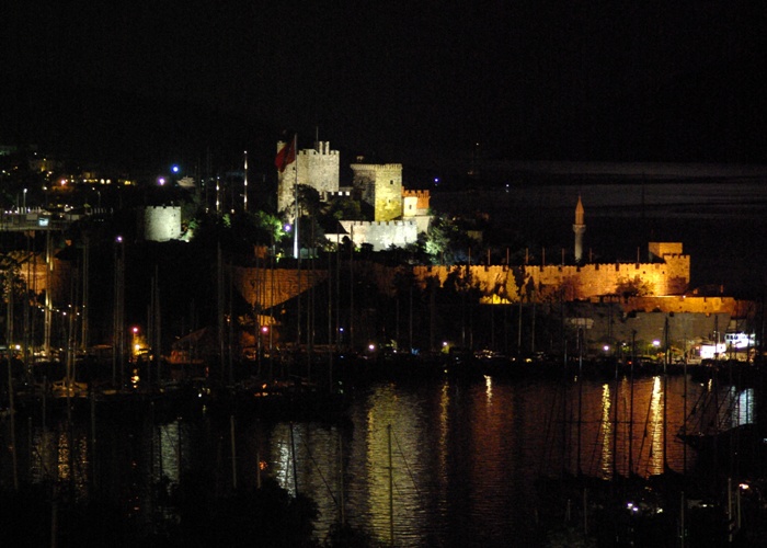 Castle on a moonlit night